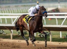 Life Is Good sprinted up the Kentucky Derby futures betting boards. His next test is likely at January's Sham Stakes at Santa Anita Park. (Image: Benoit Photo)