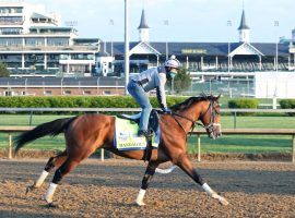 Mandaloun ran a career race in his half-length Kentucky Derby loss to Medina Spirit. That effort explained why trainer Brad Cox shelved the Into Mischief colt from the May 15 Preakness Stakes. (Image: Churchill Downs/Coady Photography)