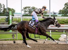 Mighty Heart's 7 1/2-length victory in the 2020 Queen's Plate came with the third-largest handle in event history. The 2021 event is Aug. 22. (Image: John Watkins)