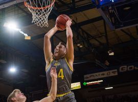 Senior forward Mike Daum from South Dakota State rises for a dunk at Frost Arena in Brookings, SD. (Image: Loren Townsley/Argus Leader)