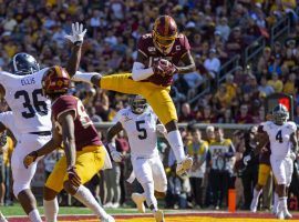 Minnesota Gophers WR Tyler Johnson hauls in a touchdown catch against Georgia Southern. (Image: Jesse Johnson/USA Today Sports)