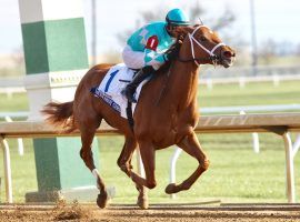 Breeders' Cup Distaff favorite Monomoy Girl knows Keeneland from her Ashland Stakes victory in 2018. She owns the most consistent speed figures in the Distaff field. (Image: Keeneland)