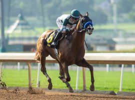 Mucho Gusto won one Grade 1 and finished second in two others in his 13-race career. He retired Tuesday after suffering a tendon injury. (Image: Benoit Photo)