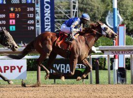 Mystic Guide put on blinkers in time to win last summer's Jim Dandy Stakes at Saratoga. He's carried that form into favorite status in the $12 million Group 1 Dubai World Cup. (Image: Janet Garaguso/NYRA)