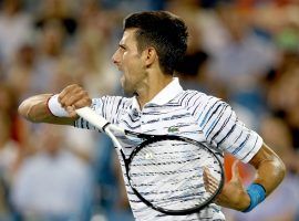 Novak Djokovic is favored at the 2019 US Open, but could face to go through both Roger Federer in the semifinals and Novak Djokovic in the final. (Image: Matthew Stockman/Getty)