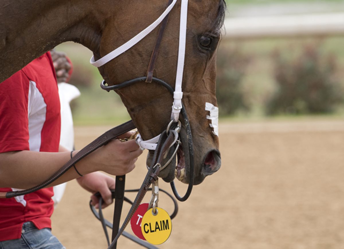 Del Mar claims way up