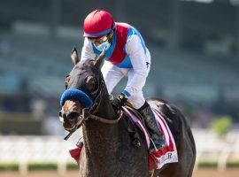 Princess Noor won two graded stakes races in her short career, including the Chandelier Stakes at Santa Anita Park. That career ended Saturday after the juvenile filly suffered an injury. (Image: Benoit Photo