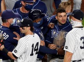 The heated rivalry between the Tampa Bay Rays and New York Yankees will come to a head when the two teams clash in the ALDS. (Image: Jim McIssac/Newsday)