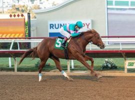 Red Flag and Victor Espinoza flew up the Kentucky Derby Futures Board with their 7 1/4-length breeze in Sunday's Bob Hope Stakes at Del Mar. The Tamarkuz colt is 50/1 to win the 2021 Derby. (Image: Benoit Photo)