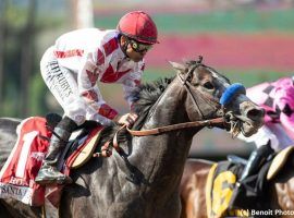 Roadster roared up from the stretch to win the 2019 Santa Anita Derby. The now-5-year-old returns for the first time in a year with a new trainer in the rade 2 New Orleans Classic Saturday at Fair Grounds (Image: Benoit Photo)