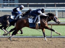 Rombauer won't run the May 1 Kentucky Derby. But expect to see him two weeks later in the Preakness Stakes at Pimlico. (Image: Zoe Metz Photography)