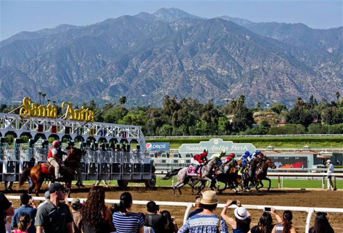 Santa Anita-Postponed Card