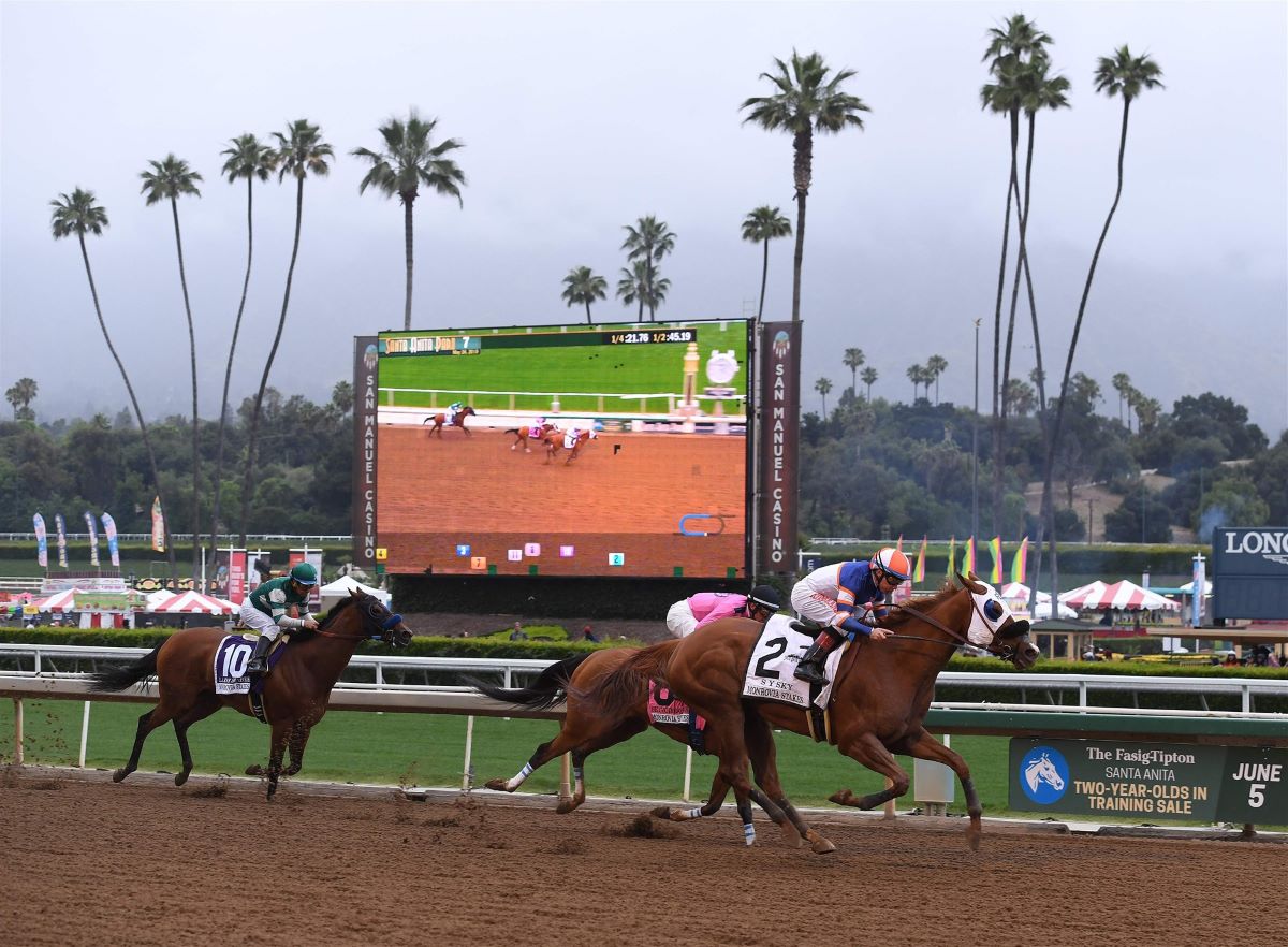 Santa Anita Finish