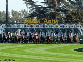 Santa Anita Park' debuted its new turf chute Saturday. Highly Distorted won the 6 1/2-furlong race at 11/1. (Image: Benoit Photography)