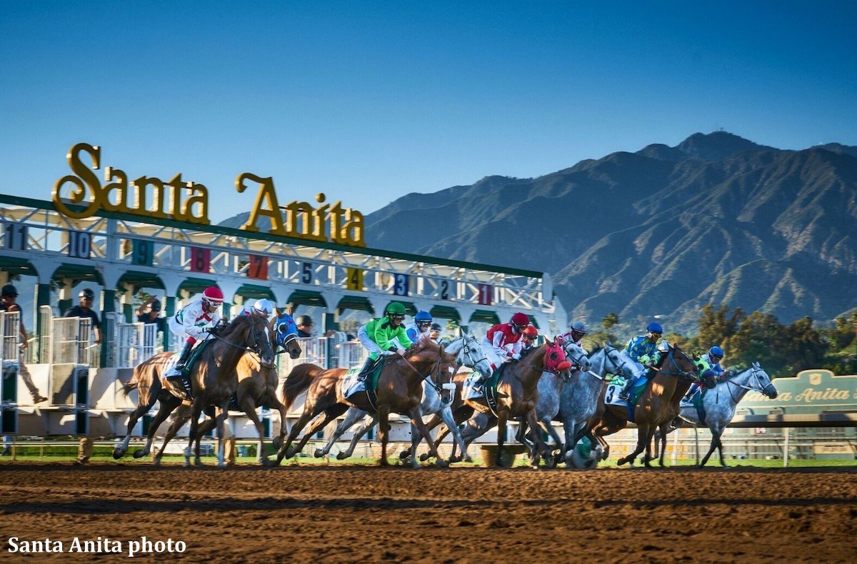 Santa Anita Park Starting Gate