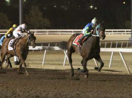 Kentucky Derby futures bettors paid attention to Senor Buscadore's last-to-first victory in the Springboard Mile. (Image: Dustin Orona Photography/Remington Park)