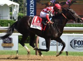 Serengeti Empress gets one more opportunity to duplicate her victory here in the Ballerina Stakes. She'll head to the breeding shed after the Breeders' Cup. (Image: Chris Rahayel/NYRA)