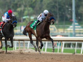 Life Is Good won Saturday's Sham Stakes by three-quarters of a length over stablemate Medina Spirit. Kentucky Derby futures bettors rewarded Medina Spirit with an odds cut, while leaving favorite Life Is Good alone. (Image: Benoit Photo)