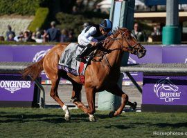 Trainer Graham Motion's Sharing already owns a Grade 1 win at the 2019 Breeders' Cup Juvenile Fillies Turf. She goes for her second as the 3/1 favorite in the American Oaks at Santa Anita Park. (Image: Horsephotos.com)