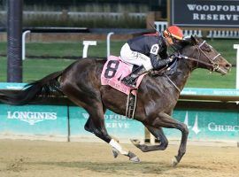 Kentucky Jockey Club winner Smile Happy opens as the 8/1 individual favorite for the Kentucky Derby Future Wager Pool 2. That pool opens Friday and runs through Sunday. (Image: Coady Photography/Churchill Downs)