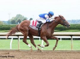 Smiley Sobotka broke his maiden at Keeneland in October. He owns that win and two seconds in three races coming into Saturday's Sam F. Davis Stakes at Tampa Bay Downs. (Image: Coady Photography)