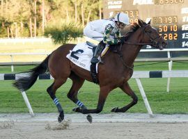 Sole Volante surprised the competition and proved he could be a Kentucky Derby contender with a strong finish at last week's Sam F. Davis stakes. (Image: Santa Anita Park)