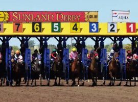 The gate for the Grade 3 Sunland Derby at New Mexico's Sunland Park will be empty. The Derby prep race was canceled Sunday in the wake of the COVID-19 pandemic. (Image: Sunland Park Racetrack & Casino)