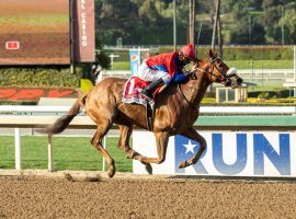 Swiss Skydiver had no company in deep stretch, winning Saturday's Grade 1 Beholder Mile by four lengths. (Image: Benoit Photo)