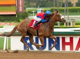 Swiss Skydiver owns stakes victories at five tracks, including two here at Santa Anita Park. She attempts to add Belmont Park to her stakes resume in Saturday's Grade 1 Ogden Phipps. (Image: Benoit Photo)