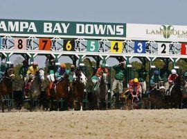 Tampa Bay Downs plans to allow spectators when its 2020-21 meet opens next week. (Image: Tampa Bay Times)