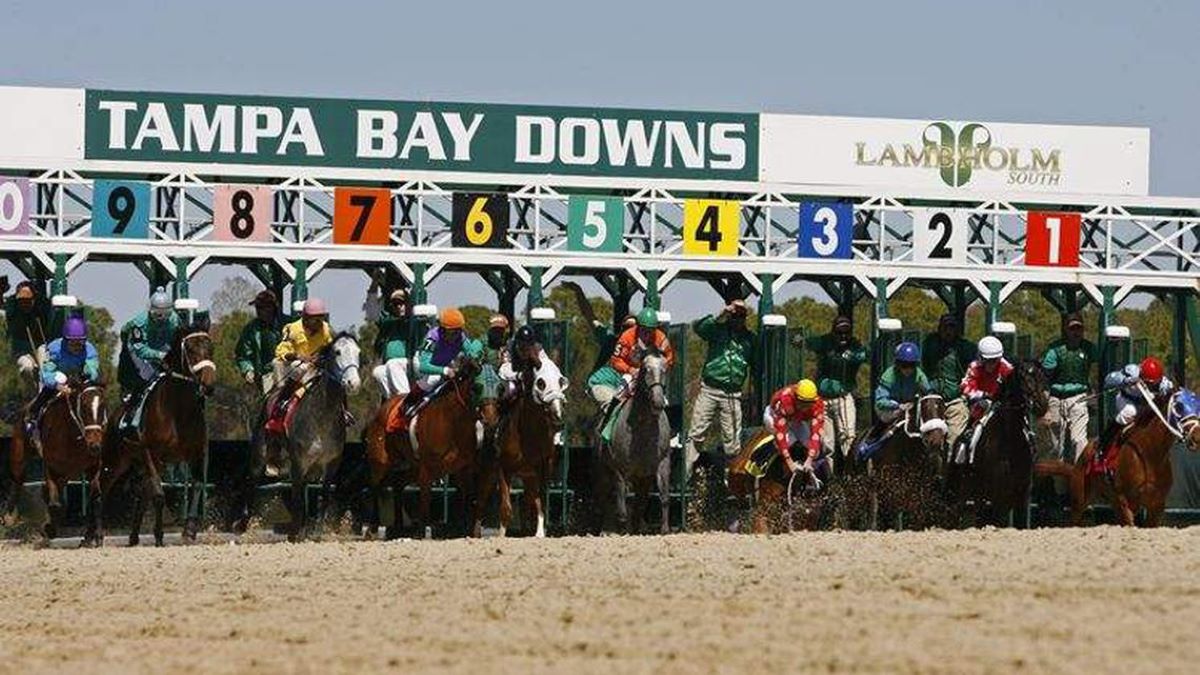 Tampa Bay Downs-Open to Fans