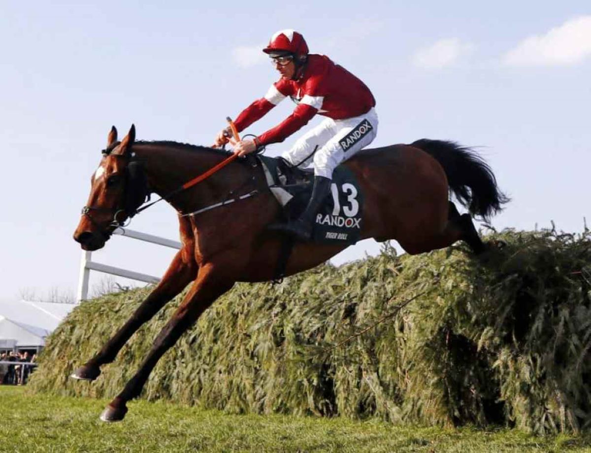 Tiger Roll-Flat Return