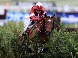 Tiger Roll will enter the Grand National as the clear favorite to win an unprecedented third straight race at Aintree. (Image: The Scottish Sun)