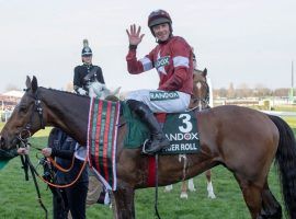 Tiger Roll won't revisit the Grand National winner's circle. Not after his owners pulled him from the famous steeplechase over a weight handicap disagreement. (Image: Paul Grover)