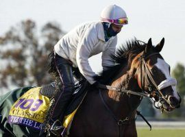 Tiz the Law will open his 2021 season at the Pegasus World Cup at Gulfstream Park. He'll do so with new rider John Velazquez aboard. (Image: Albany Times Union)