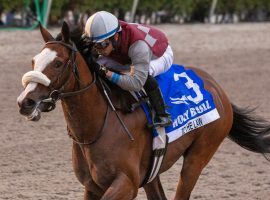 Tiz the Law won the Holy Bull Stakes last week, and with that jumped out to become the odds-on favorite for winning the Kentucky Derby. (Image: Eclipse Sportswire)