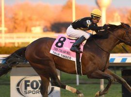 True Timber and Kendrick Carmouche won last year's Cigar Mile. Aqueduct's featured race during its Fall Meet is the lone Grade 1 race among its 26 stakes events. (Image: Susie Raisher/NYRA)