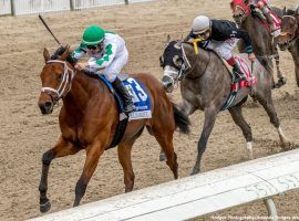 Front-running Wells Bayou won the Louisiana Derby last year. He returns to Fair Grounds Saturday for the Louisiana Stakes, his first race in eight months. (Image: Amanda Hodges Weir/Hodges Photography)