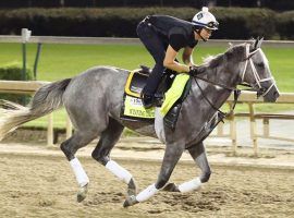 A fatal injury to Kentucky Derby runner Winning Impression prompted Churchill Downs officials to close the track's turf course for the duration of its fall meet. (Image: Coady Photgraphy/Churchill Downs)