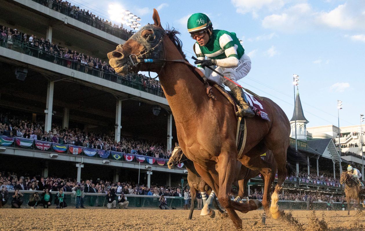 Accelerate, Breeders' Cup