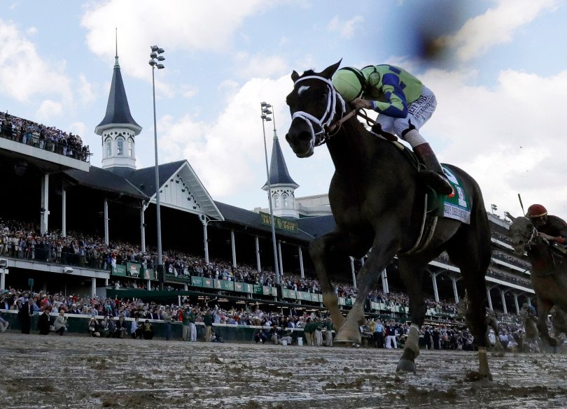 Preakness odds