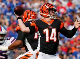 Andy Dalton and the Cincinnati Bengals will try and be one of the NFL winless teams that gets a victory this Sunday. (Image: AP)