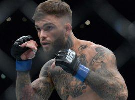 Cody Garbrandt is coming off of two loses to T.J. Dillashaw, but is ready for Pedro Munhoz at UFC 235. (Image: USA Today Sports)