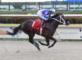 Ete Indien romped up the Kentucky Derby Futures board with his 8 1/2-length romp at the Fountain of Youth.  (Image: Lauren King)