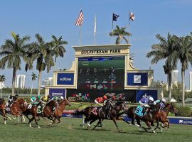 Despite legal threats from a city official who says racing is a non-essential business, Gulfstream Park intends to reach the finish line with its meet card. That includes Saturday's Florida Derby. (Image: Getty Images)