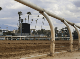 And they'e off. Racing to resume at Santa Anita on March 29. (Image: AP)