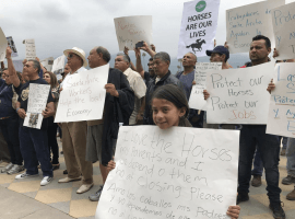 Equine caregivers rally at Santa Anita seeking job security. (Image: AP)