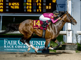 War of Will wows fans winning the Risen Star Stakes in New Orleans. (Image: Hodges Photography)