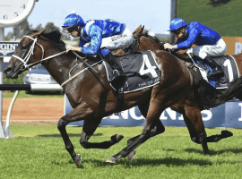 Winx blasts home to win the 2018 George Ryder at Rosehill Gardens
Image: (Bradley Photograph)