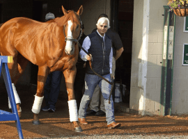 Bob Baffert and 2018 Triple Crown winner Justify Garry Jones /AP